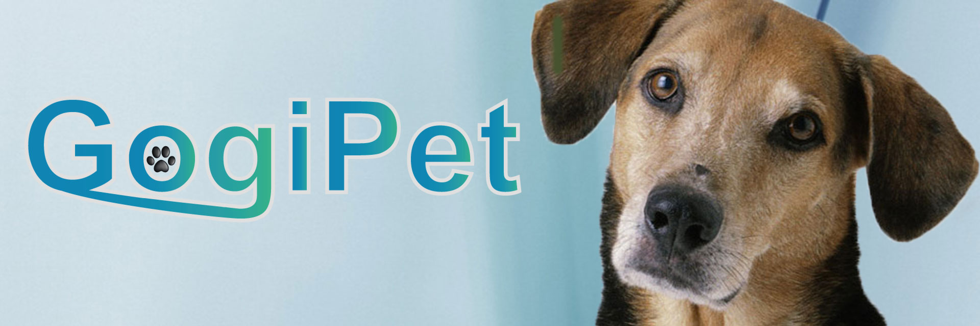 GogiPet der Profi für Hunde, Katzen und Hundefriseurausstattung